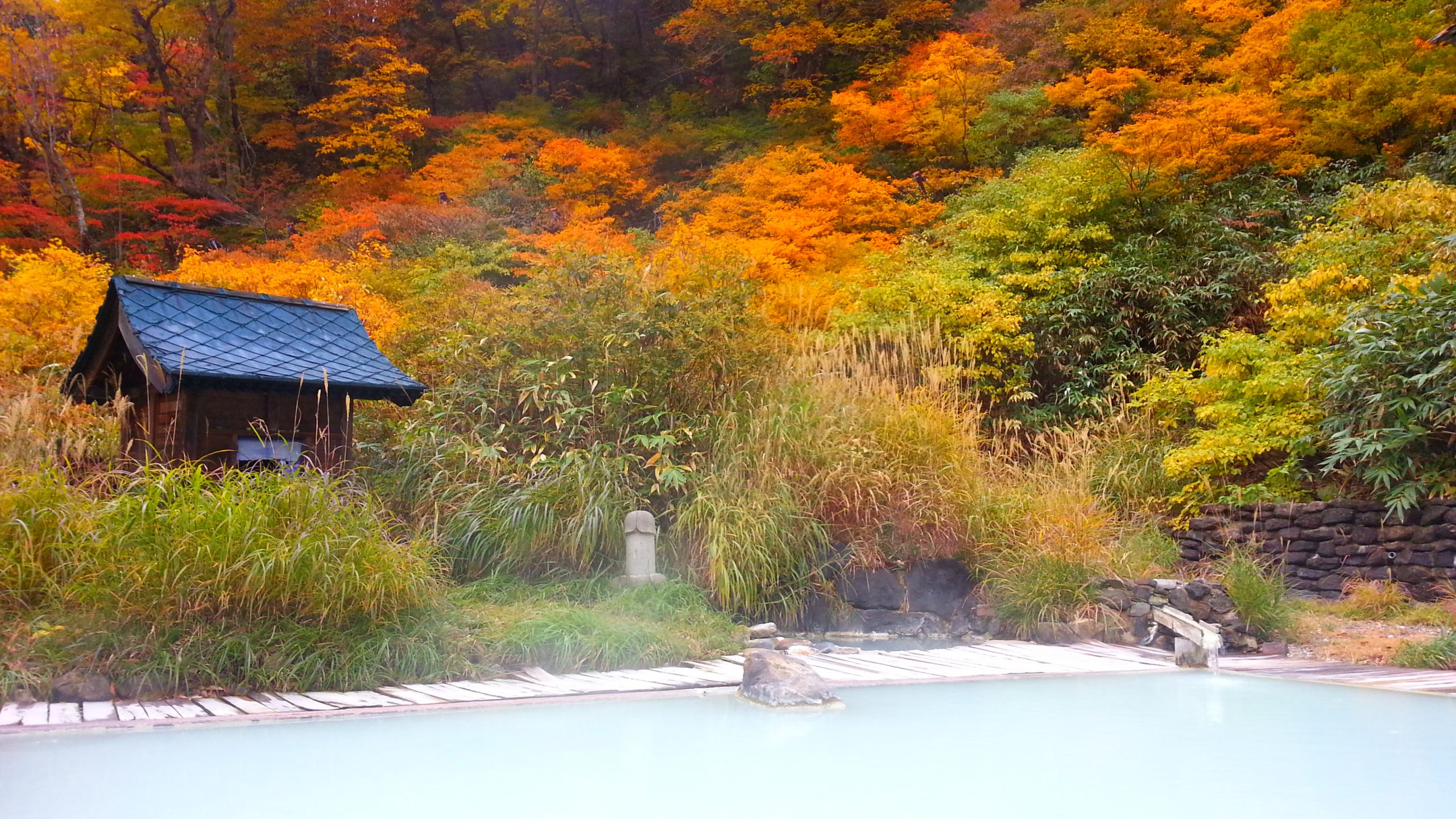 Japan Real Estate